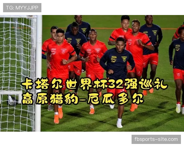 厄瓜多尔队2026世界杯阵容预测：高原之鹰能否再现黑马奇迹