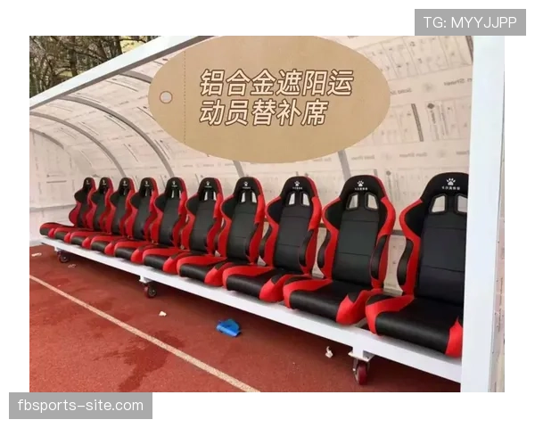 详解篮球赛场替补席管理规则：全面解读其要点